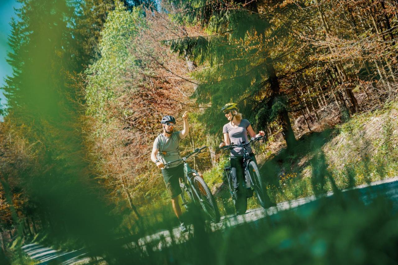 Waldhotel Vogtland كلينغنتال المظهر الخارجي الصورة